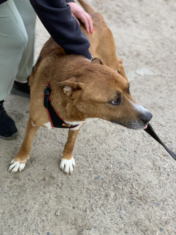 B1F7AF0E-F7BE-45B4-A91E-9D69276D1836