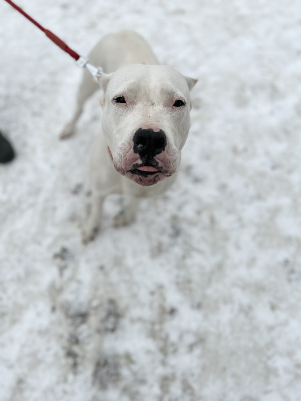 5A3FB9DC-DB14-45D1-9421-3FFCA388B5AD