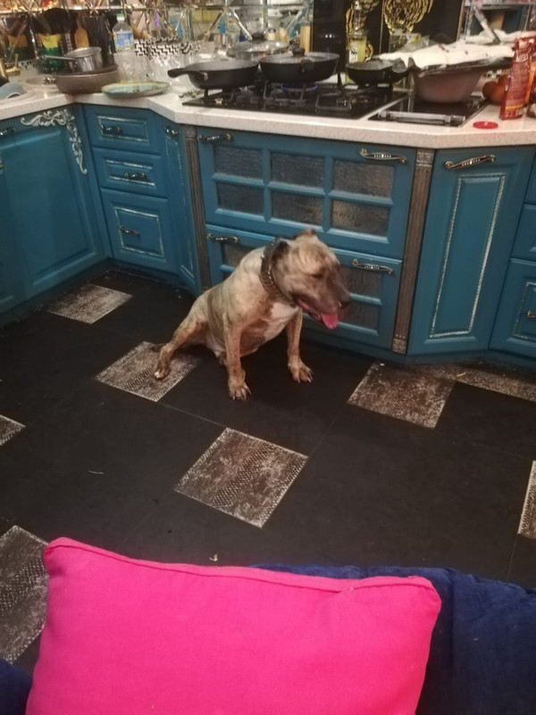 5410C57C-DF99-4785-A350-B2EB525D03B1