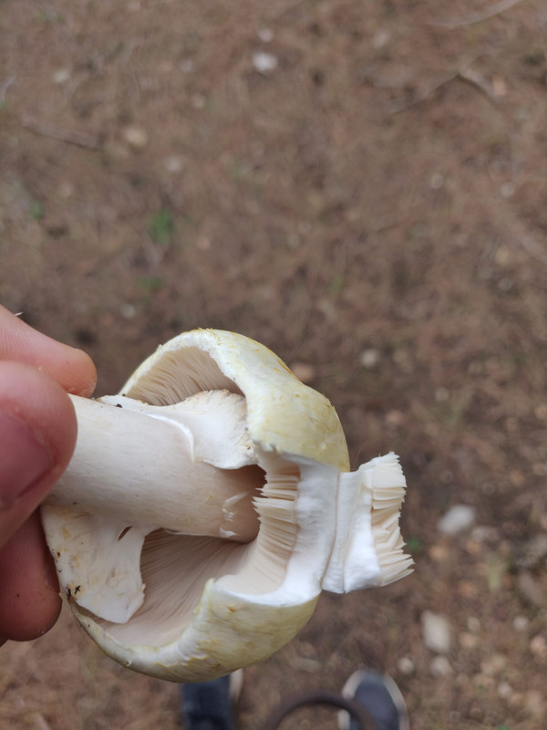 WhatsApp Image 2022-12-15 at 13.50.52 (4)