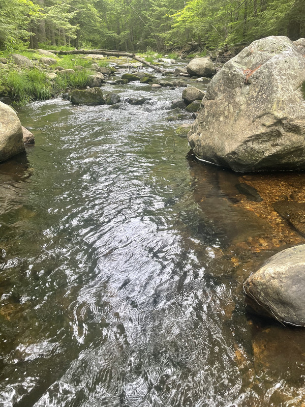 63AF7024-C5EA-46A4-83D8-1B87DE5A4150