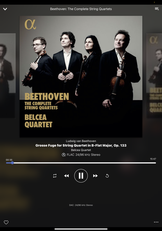 DC9-ECE36-4305-4-C74-9-AA9-A4-E416-FD264