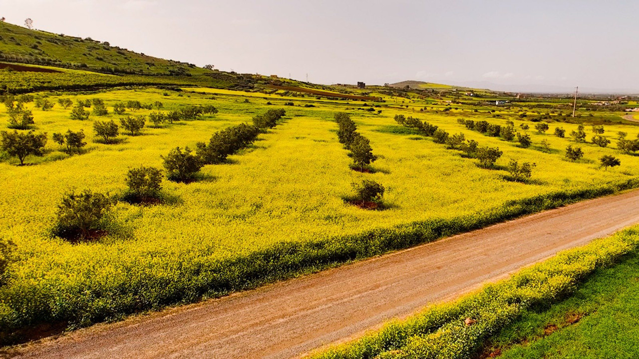 645884017-122174329496792190-4779809077902969389-n