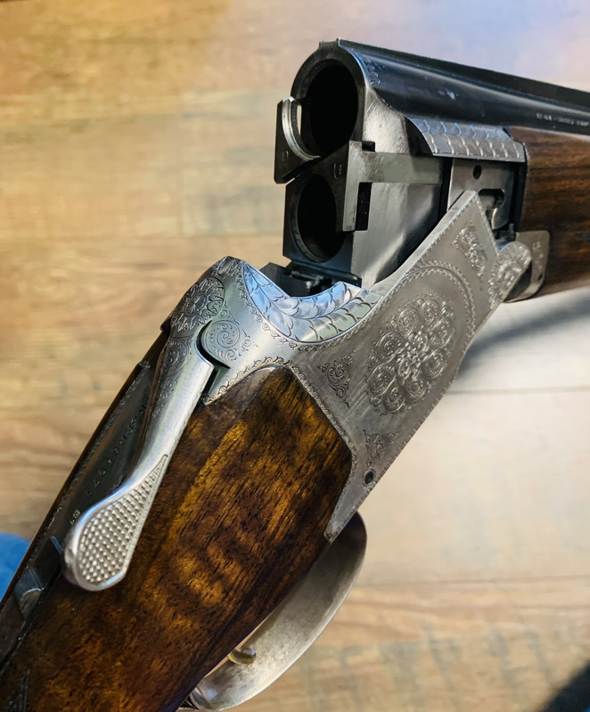 [Linked Image from i.postimg.cc]