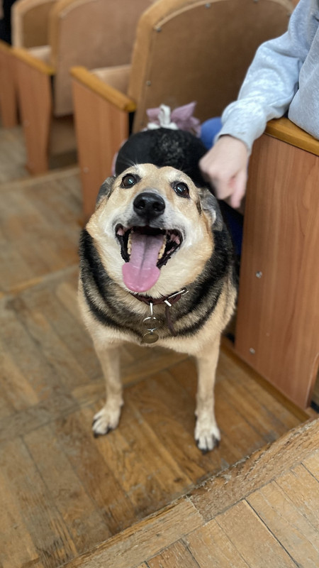 71E61E06-0535-4F4F-8ECE-E2E53912CDE6