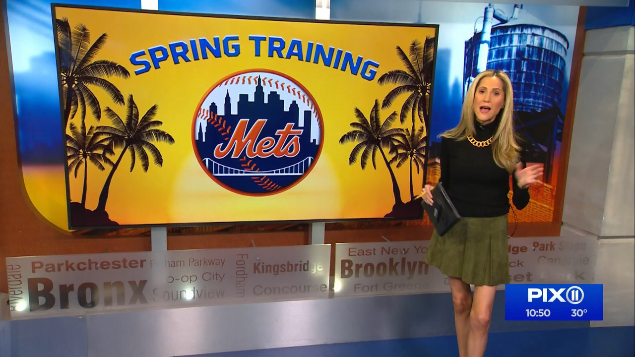 03.05 - 03.00.00 - PIX11 News at 10 with Tamsen Fadal and Kori Chambe....ts_snapshot_11.35.235