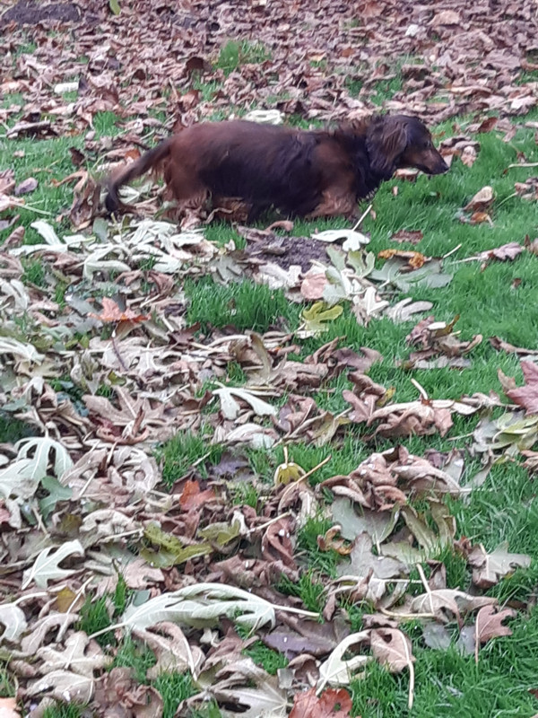 [Image: 20211110-150917.jpg]