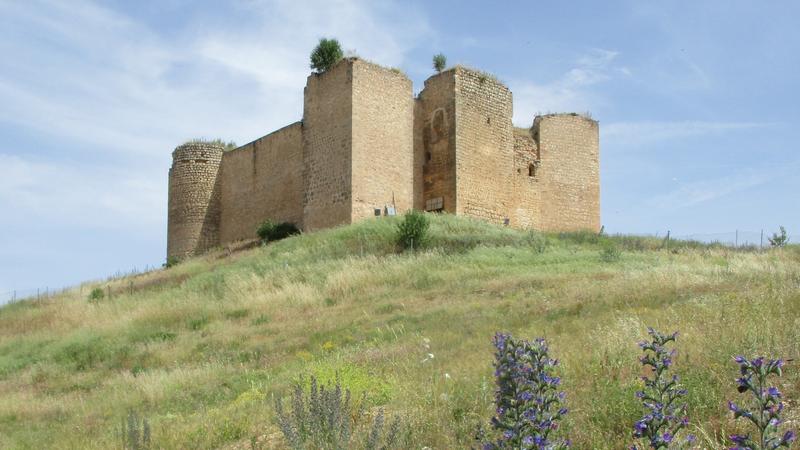 CASTILLOS DE GUADALAJARA, Monumento-España (13)