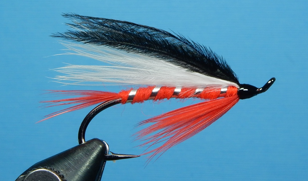 Polly-s-Pride-1080.jpg