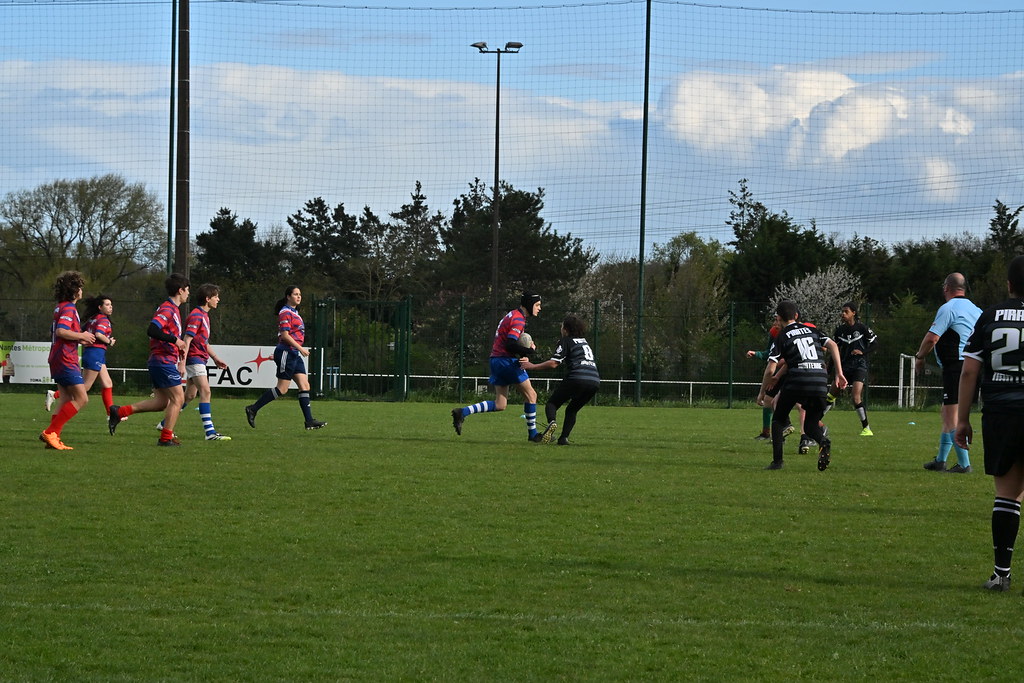 dsc-1896-55181696505-l