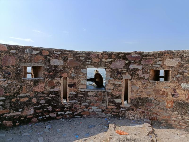 https://i.postimg.cc/qqmdM9rD/Chittorgarh-(133).jpg