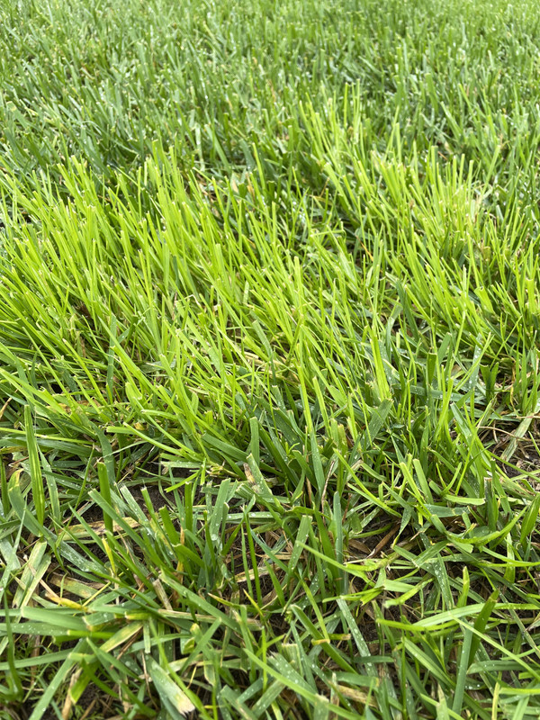 CC0B823E-82A0-45CE-BFC6-0F8B745631D0