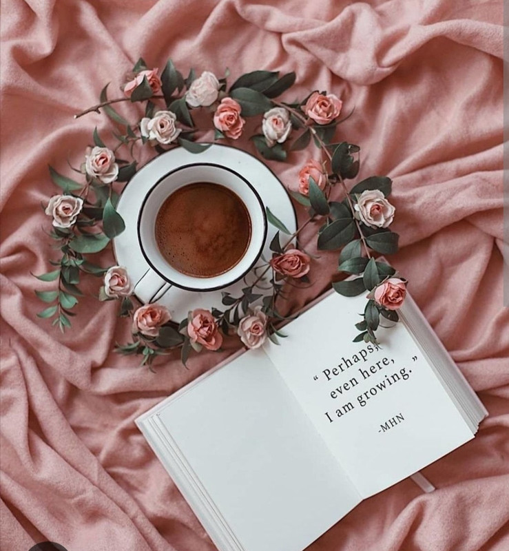 Screenshot_20221126-005748_Chrome