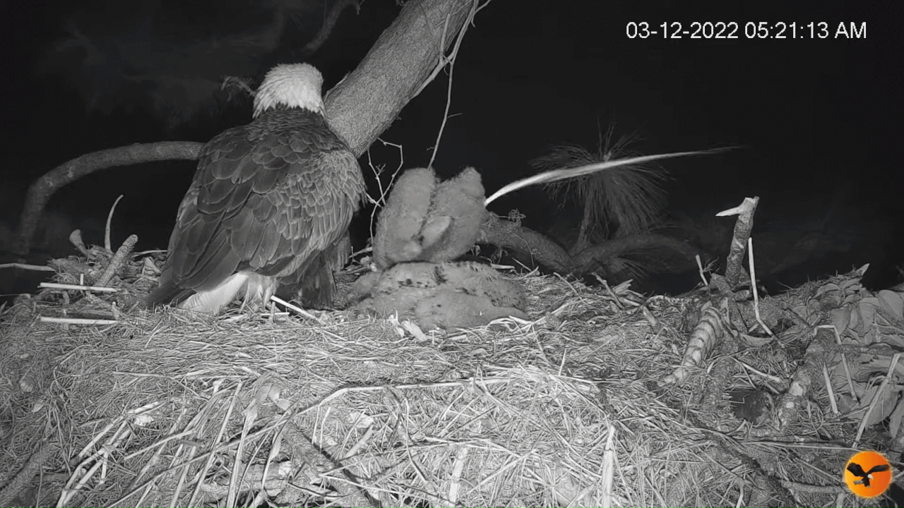 Webp.net-gifmaker (3)