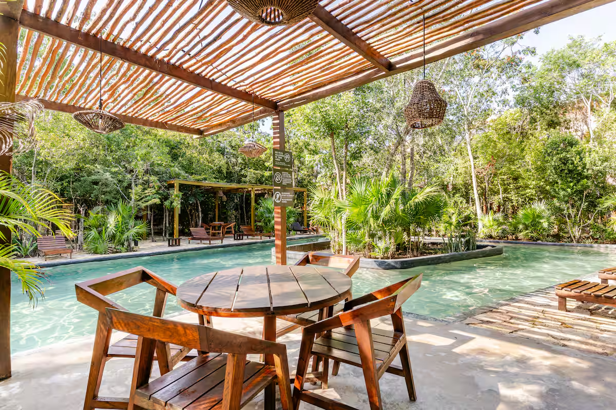Alberca rodeada de vegetación en Tulum