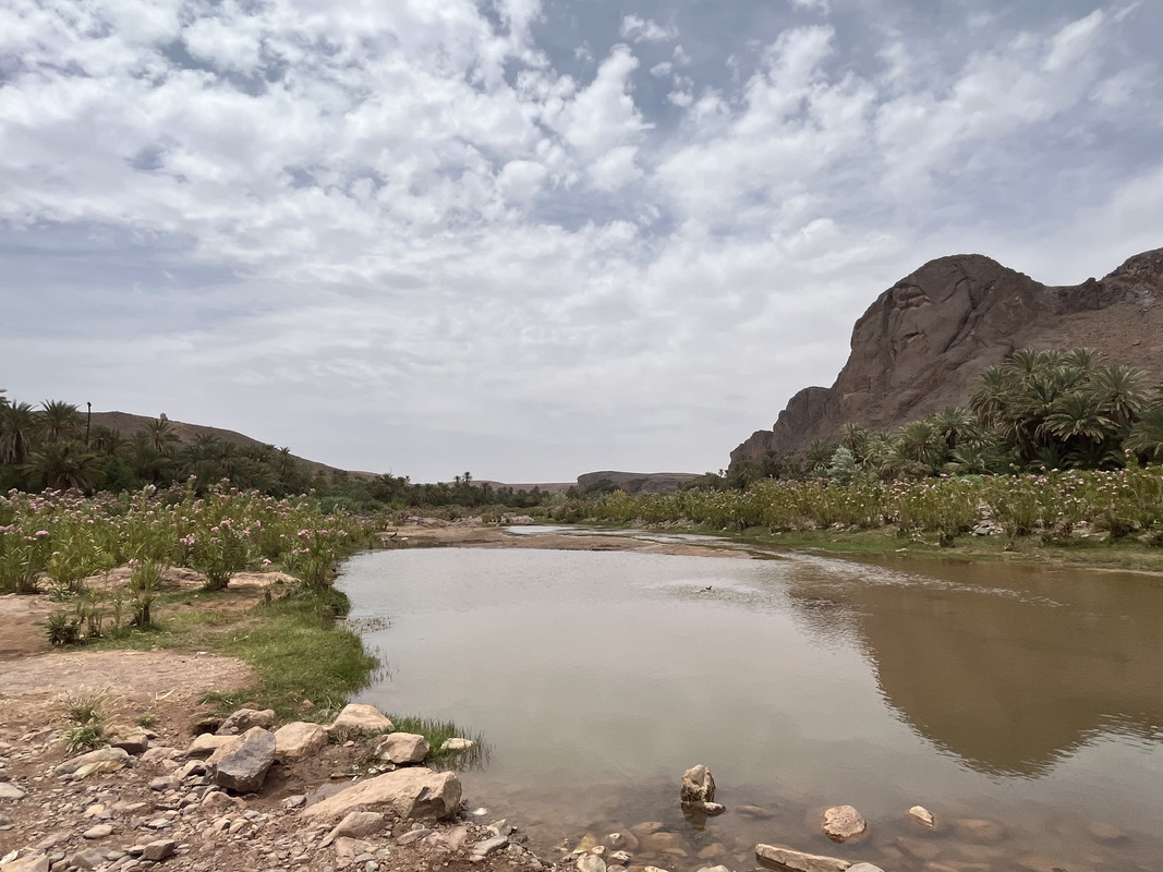 Los Oasis de Fint y de Tiguirt - El Valle del Drâa, la gran arteria del sur de Marruecos (4)