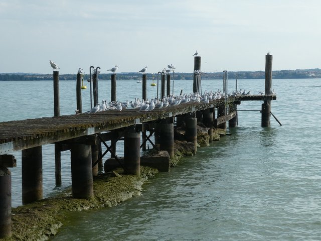 DÍA 7 – Trento / Peschiera del Garda / Sirmione - Dolomitas, Garda, Venecia... Noreste de Italia en verano de 2025 (32)