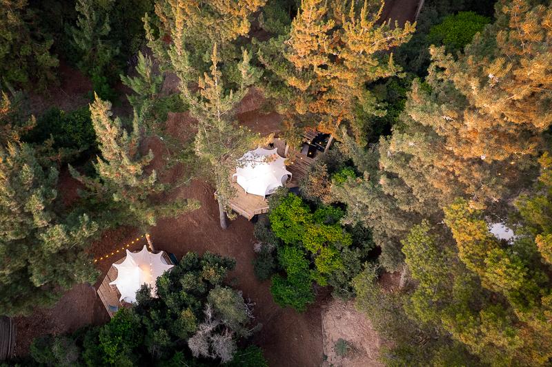 Vista aérea de los domos de Glamping Matanzas entre los árboles