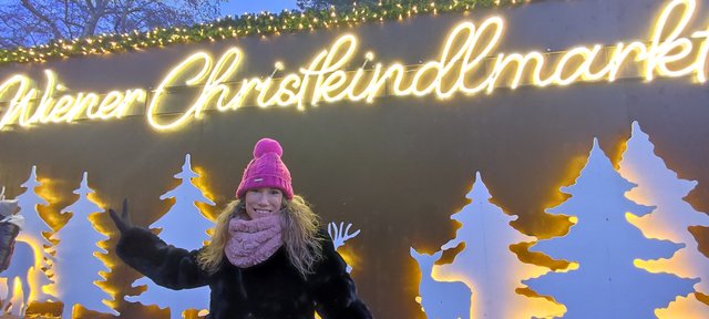 Adios Praga, hola Mercado del Ayuntamiento de Viena y concierto - Viena - Bratislava - Praga, Navidad 2024 (14)