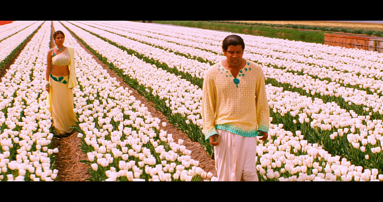 VideoCapture_20241122-195822