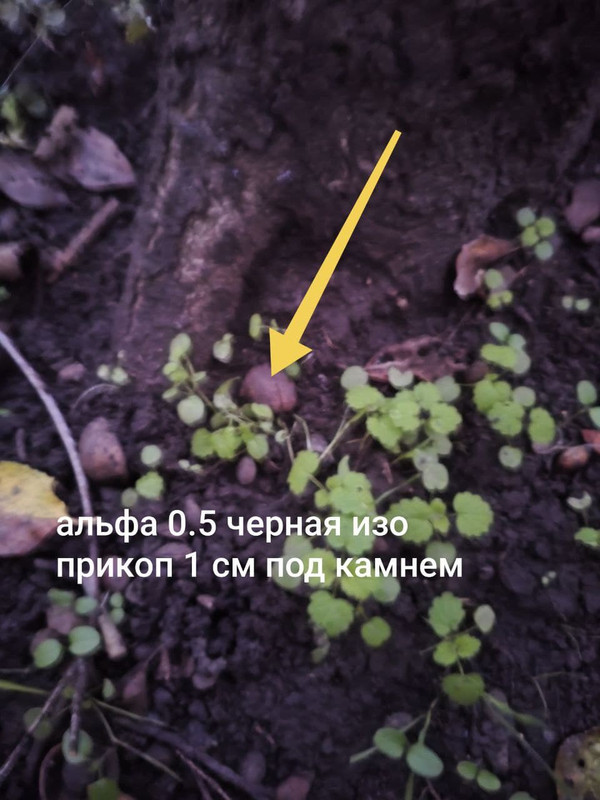 photo_2025-10-23_20-21-23