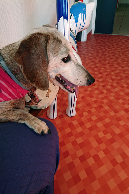 [Image: DSC-1874.jpg]