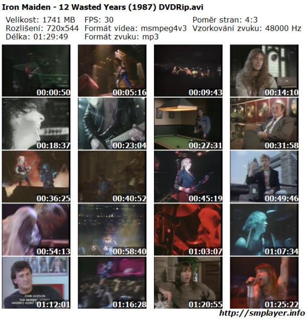 Iron Maiden - 12 Wasted Years (1987)