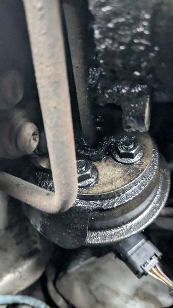 PXL 20260221 120438228 MP