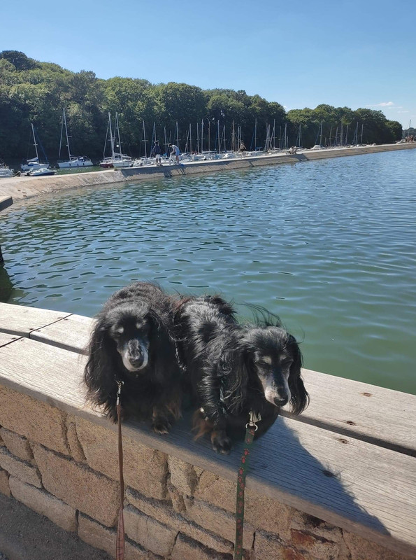 [Image: received-506992007783359.jpg]