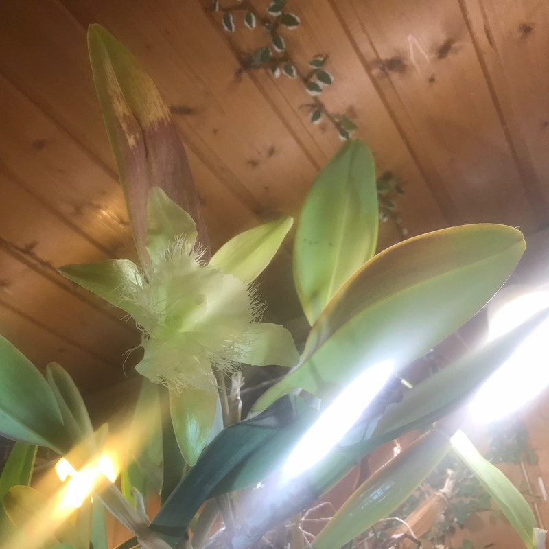 AA560152-9AE4-423C-B686-CF7F63CD79C6