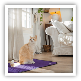 Site-Web-vignette-Instagram-Drypop-54