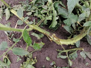 IMG-20210719-091120.jpg
