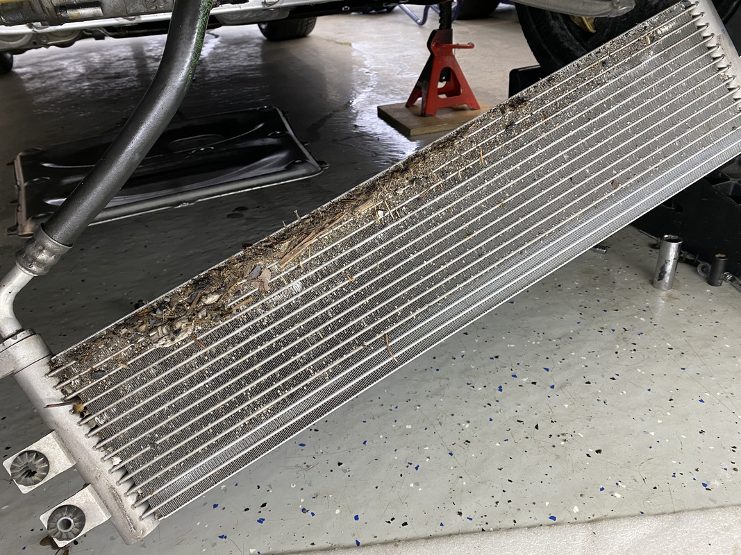 C9ECF788-BCB5-4768-9AB7-A15451834986