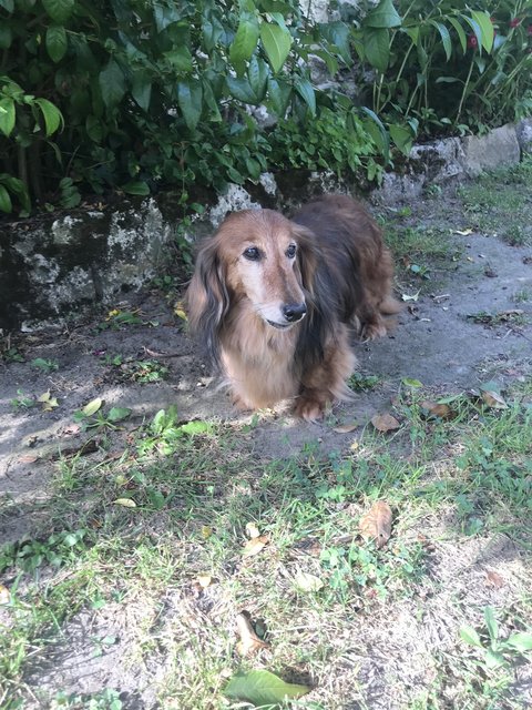 [Image: FB896-E06-5222-40-BC-A0-E1-EDA9-DB14-CFD4.jpg]