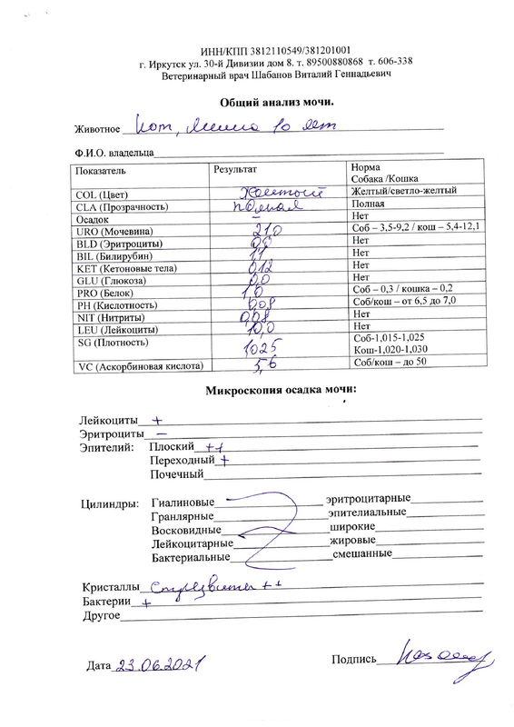 Миша_анализы_июнь 2021-3