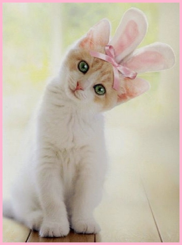 A1E52F13-8A4A-46B6-B06D-E0EBF1C11BC3