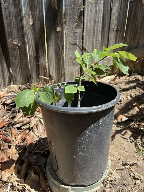 5676289D-F5B8-4ADB-B751-BC259E78C07B