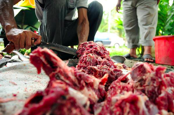 potong daging untuk raya haji