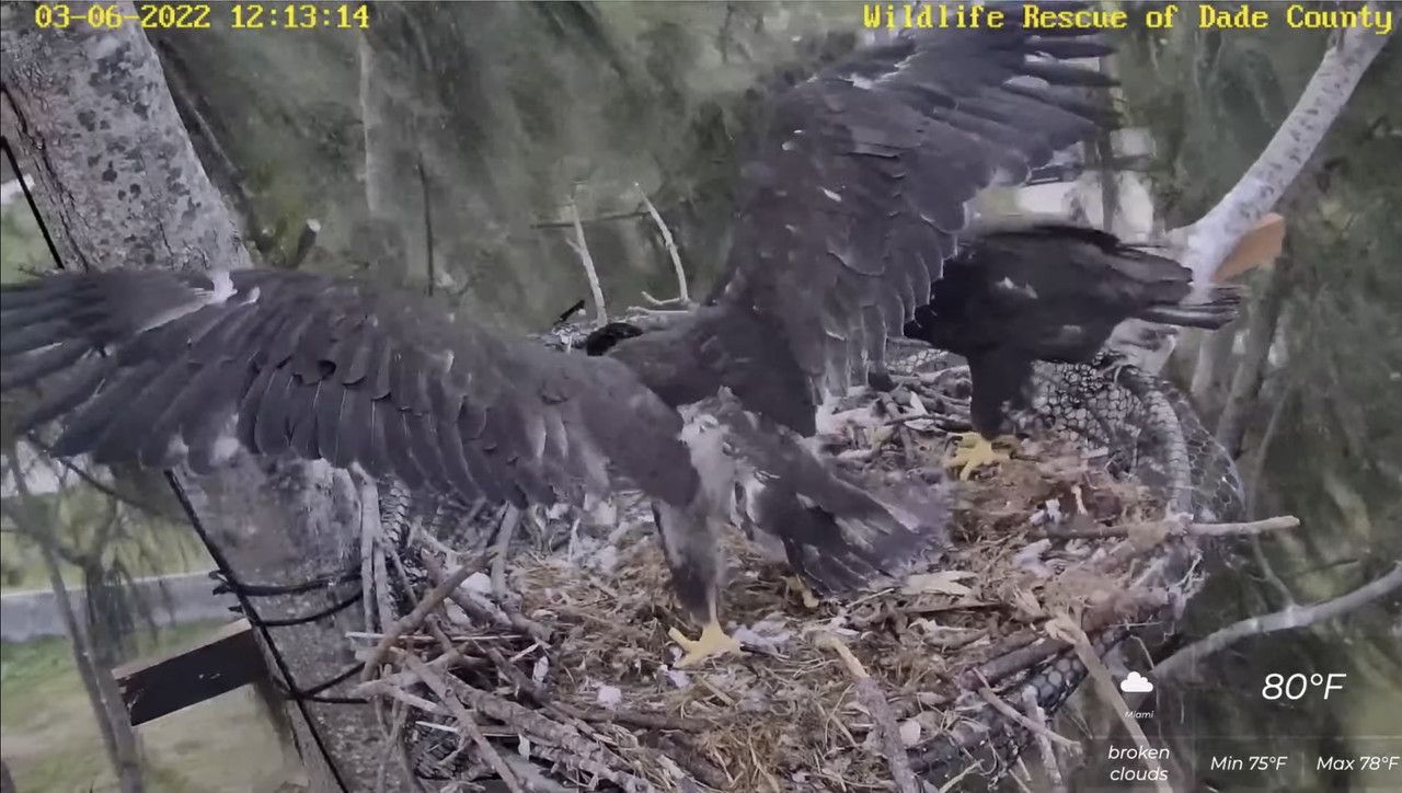 F8C46522-650F-4C9C-B726-A9B9D0D68F9C