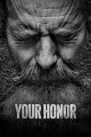 Your Honor S02E09 1080p WEB H264-[GGEZ]