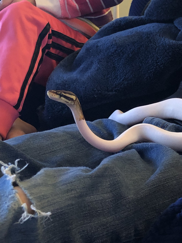 8A6F883A-9C5D-48BB-BA7D-8A66D9C067E0