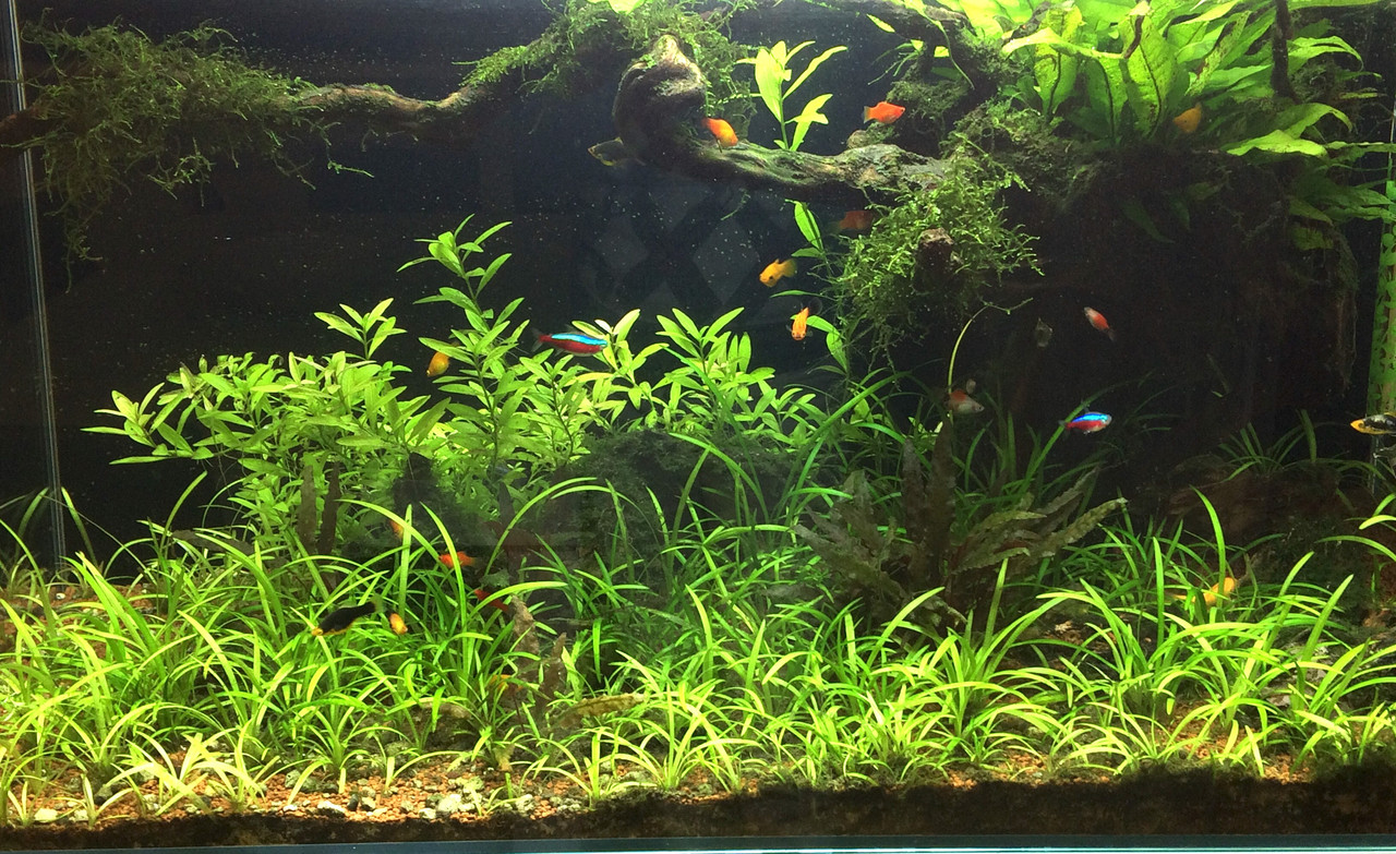 77A4642B-423B-4169-8813-02A132B0A00F