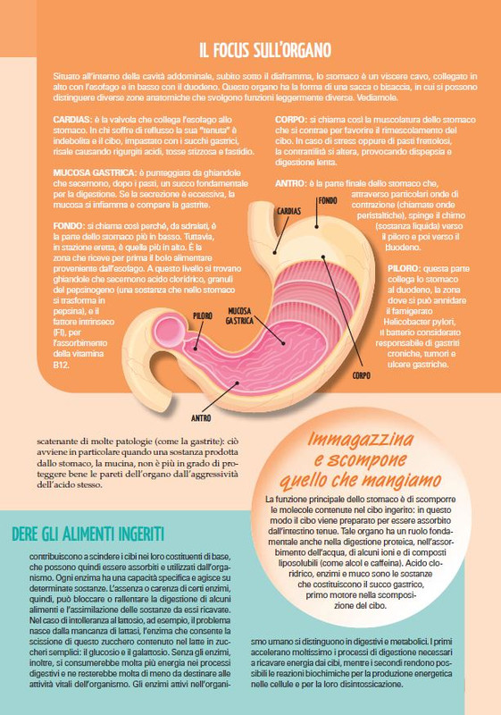 Sal Nat Ext Dic 2023-Gen 2024 (4)