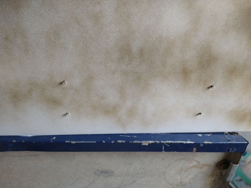 IMG_20210809_135353789