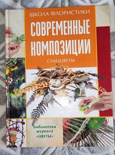 photo_2024-02-26_17-32-01