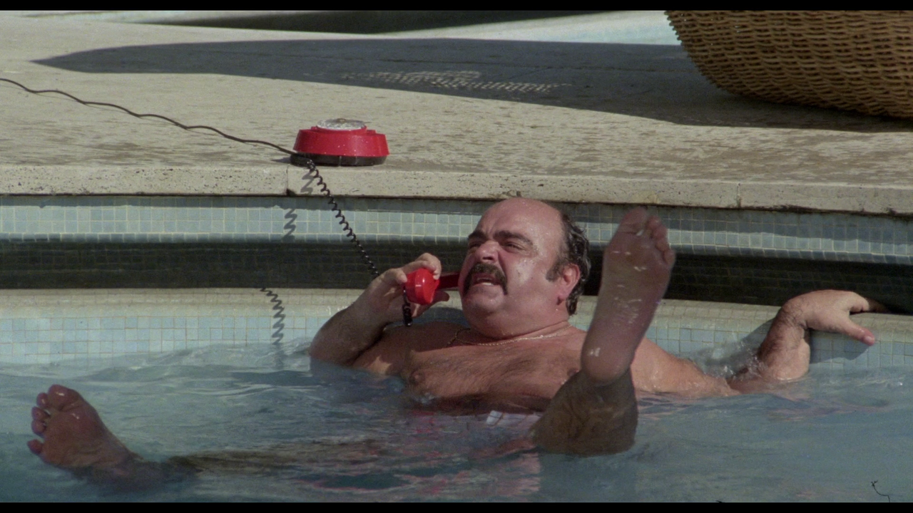 vlcsnap-2023-11-12-11h52m05s946