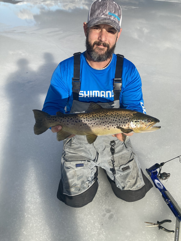 5E5735B9-3A85-4946-8400-C884049D03ED