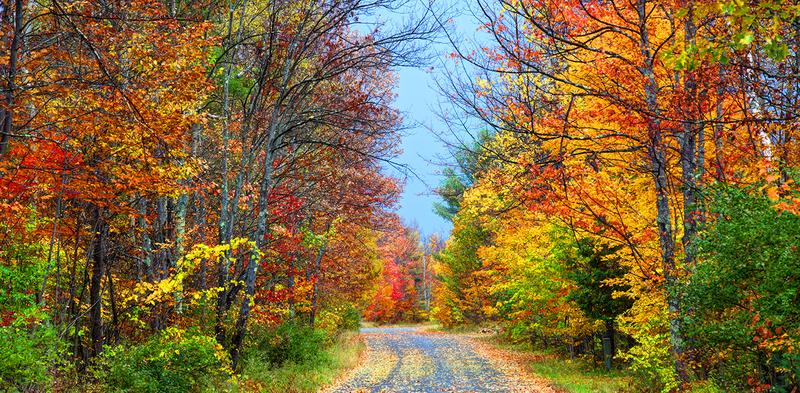 WEB_Fall_Colors_Lake_Placid.jpg