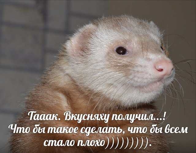 p5nfCj7ZkfU
