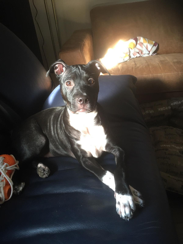 91C48ECA-09A1-4274-AC8C-FB8A5F2238E0